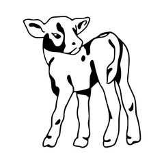 adorable spotted calf outline drawing