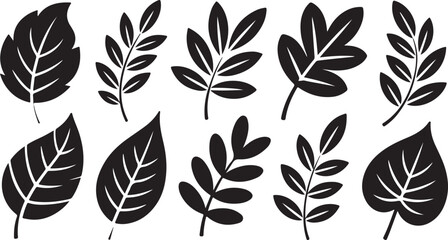 silhouette botanical leaves collection with assorted natural shapes, clean black vector design for decorative and organic use