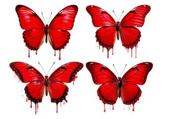 Set Red butterfly Dripping isolated on transparent or white background