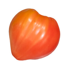 one red tomato isolated on white background, template for designer.