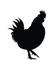 Chicken silhouette black background with white isolated