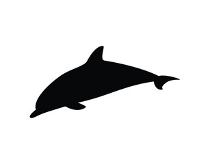 Dolphin silhouette black background with white isolated