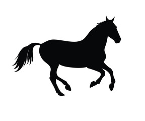 Horse run silhouette black background with white isolated