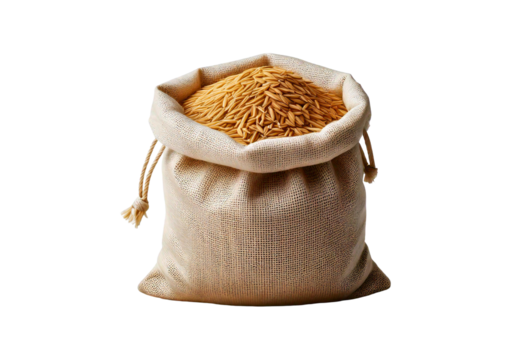 White canvas sack with full paddy isolated on transparent or white background