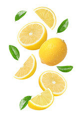 Set of lemon on white
