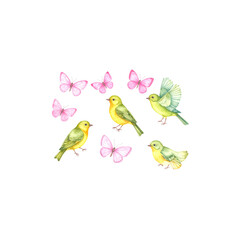 Cute birds and colorful spring flowers isolated on white background.
