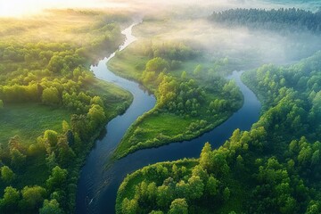 Aerial view of a winding river flowing through dense green forest with morning mist and soft sunlight illuminating the landscape