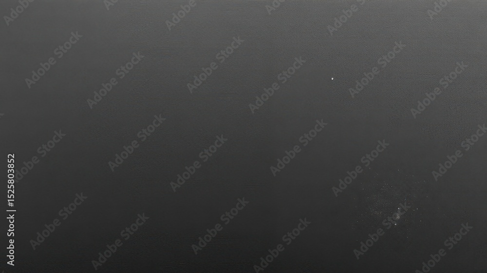 Poster monochromatic dark gray surface texture with varied patterns of subtle grain and a couple small isol