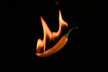 Red hot chili pepper with flame on a black background