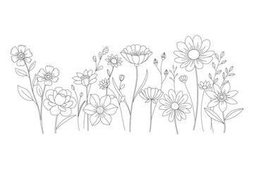 Elegant wildflower line art illustration