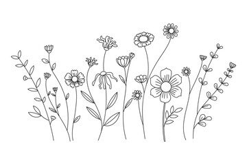 Line art illustration of various types of flowers