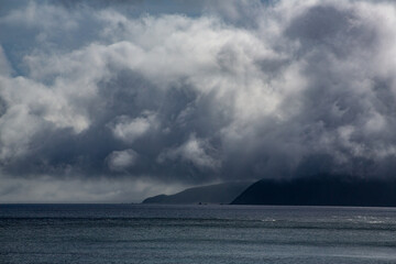 奄美大島の自然。
