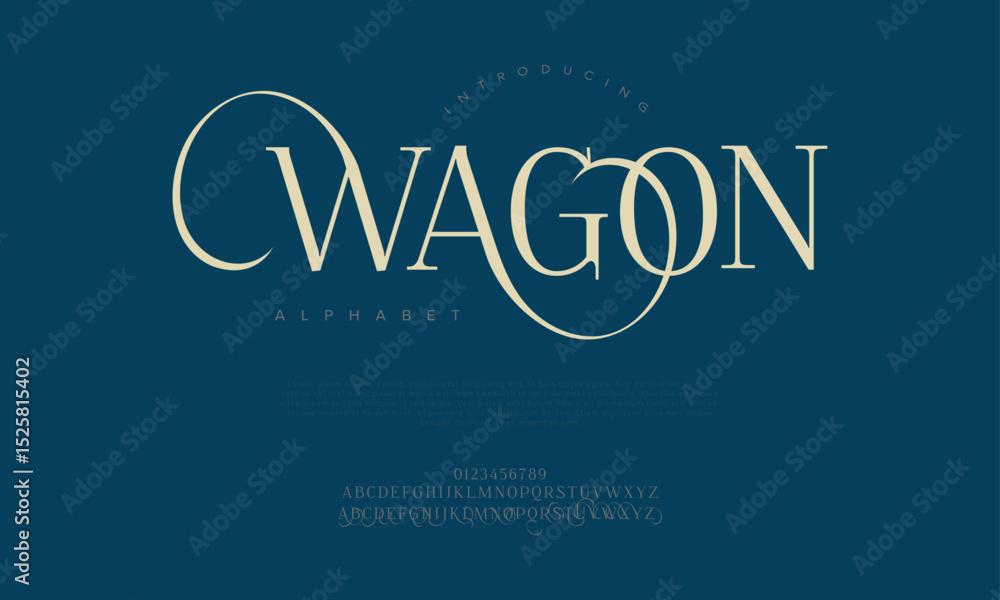 Poster sophisticated serif display font with looping ligatures and modern flair