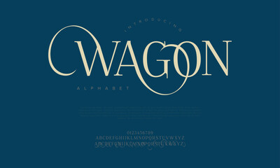 Sophisticated serif display font with looping ligatures and modern flair