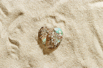 Close-up of colored seashells as heart on textured light beige sand at sunlight, summer and seaside atmosphere, minimal style aesthetic photo, vacation, relaxation, sea, nature love concept