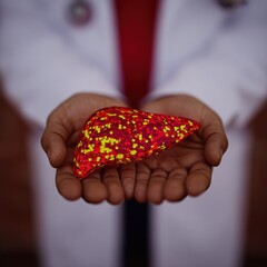A 3D model of a diseased liver held in a doctor's hands