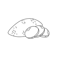 Sweet Potato Sliced Root Vegetable Thin Line Illustration