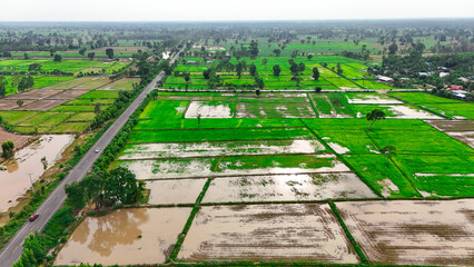 aerial view of rice fields in thailand