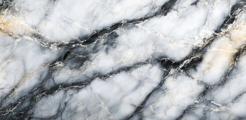 smooth white marble surface with black and gold natural veins in irregular patterns