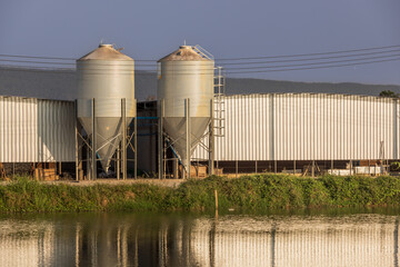 Poultry Farming Grain Silo Feed Tower for Chicken Automatic Feeding System