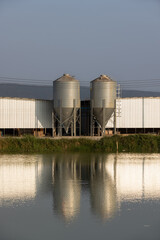Poultry Farming Grain Silo Feed Tower for Chicken Automatic Feeding System