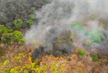 Wildfires release carbon dioxide (CO2) emissions and other greenhouse gases (GHG) that contribute to climate change.