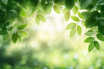 Close-up view of fresh green leaves hanging from tree branches with soft sunlight and blurred nature background creating a peaceful and refreshing atmosphere