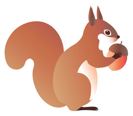 リスとドングリ