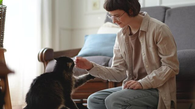 Final bite from cat after playful struggle with owner hands. Woman strokes calms feline, soothing after active predator like play. Affectionate interaction, animal energy, bonding tactile connection