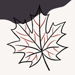 Abstract Line Art Maple Leaf Autumn Design Element