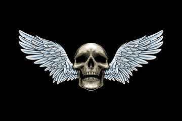 Fototapeta premium colored illustration of a winged skull on a dark background