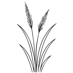Vector of wild grass in minimalist design, using only black outlines and white space for a clean, modern monochrome look.