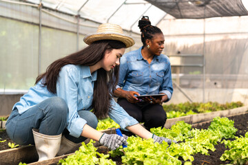 Children learn how to grow and care for vegetables in a greenhouse, with teachers teaching them closely.
