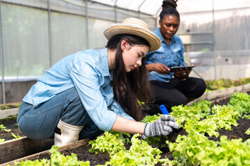 Children learn how to grow and care for vegetables in a greenhouse, with teachers teaching them closely.