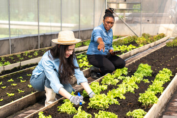 Children learn how to grow and care for vegetables in a greenhouse, with teachers teaching them closely.
