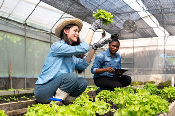 Children learn how to grow and care for vegetables in a greenhouse, with teachers teaching them closely.