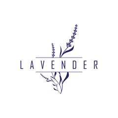 lavender flower design, lavender logo concept, aromatherapy plant for health and perfume, with modern simplicity as a symbol of a business product brand, also a poster or brand illustration template