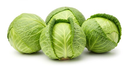 Fototapeta premium Harvesting fresh cabbage a journey through a vibrant farm food photography organic environment close-up perspectives healthy living concept