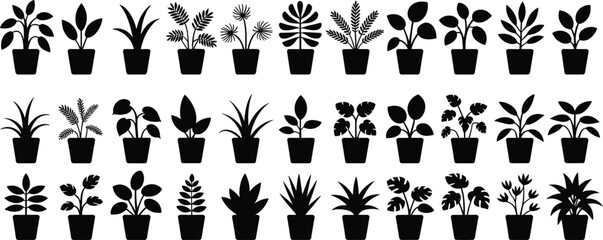 Vector illustration of potted indoor plants in silhouette style, perfect for botanical design, home decor, gardening, nature icons, eco themes