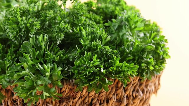 Fresh parsley in a basket	