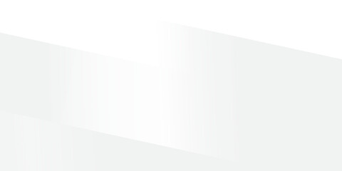 abstract gray white panoramic background There is a natural pattern in the background. vector