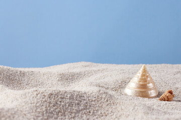 Seashells and Starfish on Soft Beach Sand – Minimal Summer Nature Background.