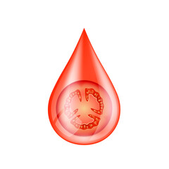 Vegetable tomato in red water drop on a white background. Serum solution vitamin C from nature essential skin care. For ads cosmetics cream lotion. Vector EPS10.