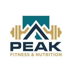 fitness and health peak shield illustration logo