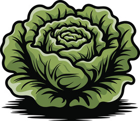 Obraz premium A vibrant illustration of a fresh green lettuce, ready for harvest