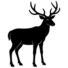 Obraz premium silhouette of a deer