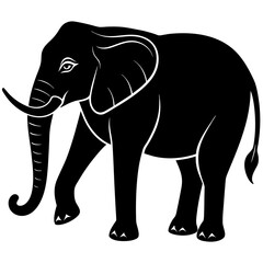Fototapeta premium elephant isolated on white