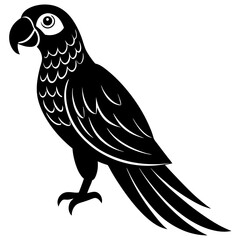 Fototapeta premium vector illustration of a bird