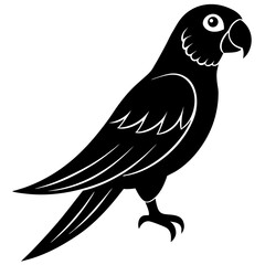 Obraz premium vector illustration of a bird