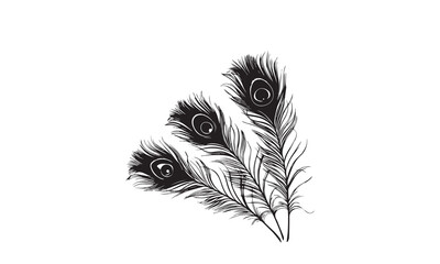 Obraz premium Peacock Feathers Design